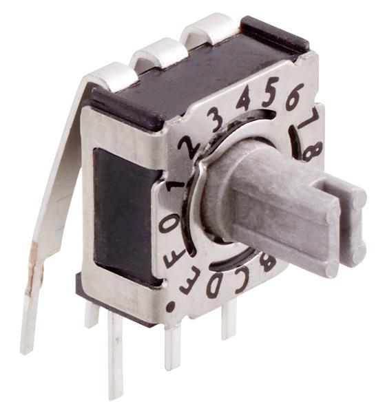 P36THR...L254